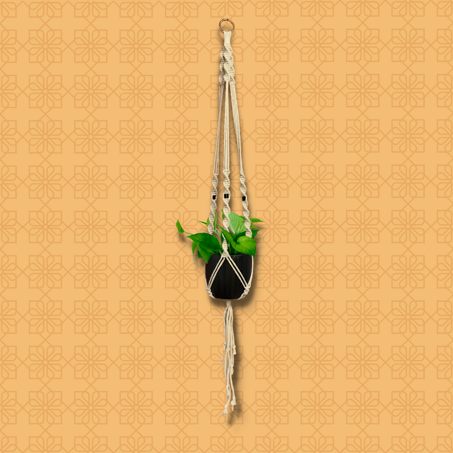 Macrame Plant Holder (SM02)