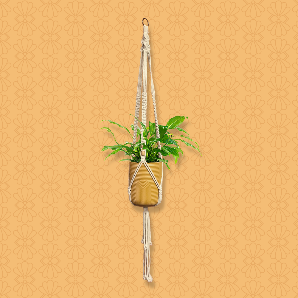 The Joy Gypsy Macrame Plant Holder (MED03)