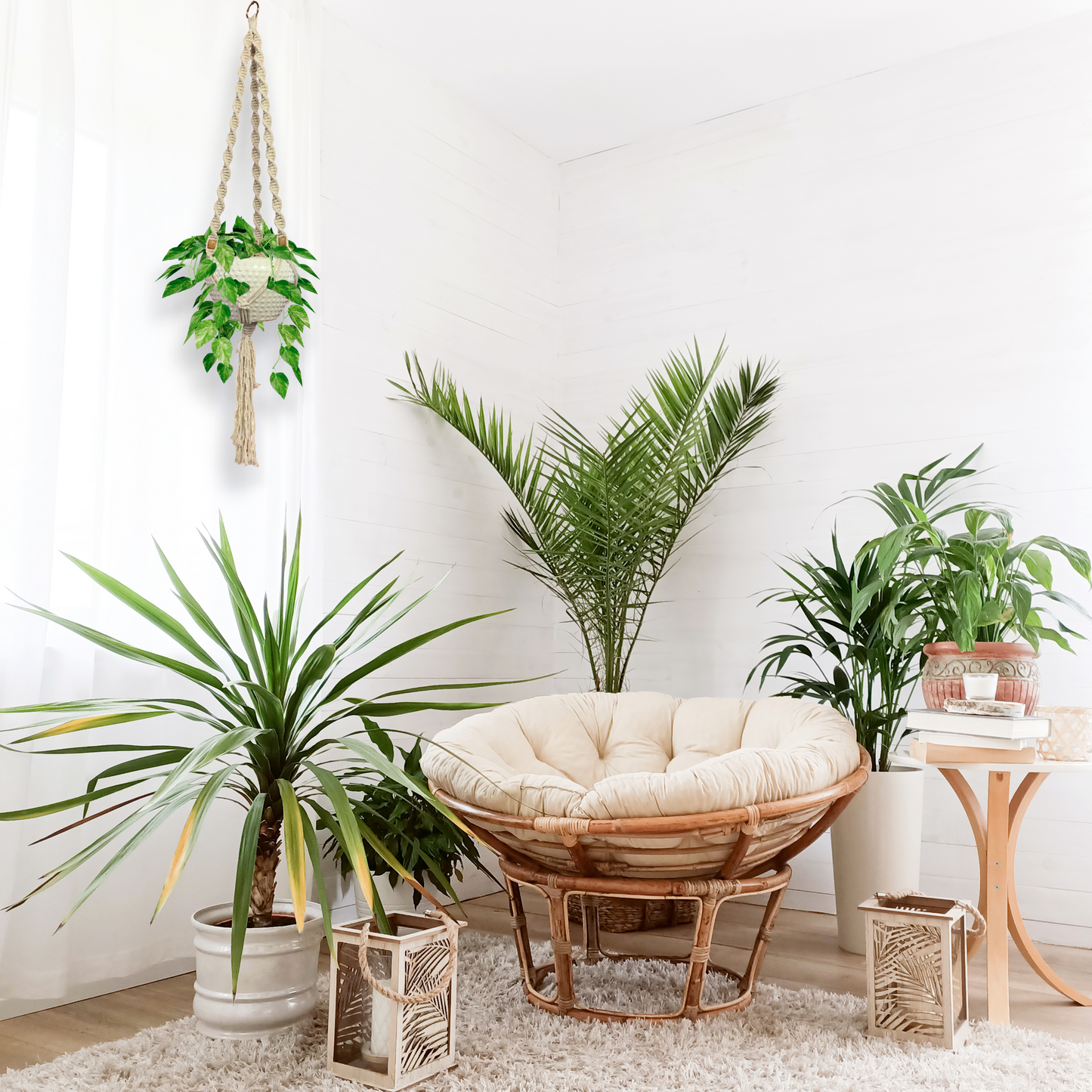 The Joy Gypsy Macrame Plant Holder (MED01)