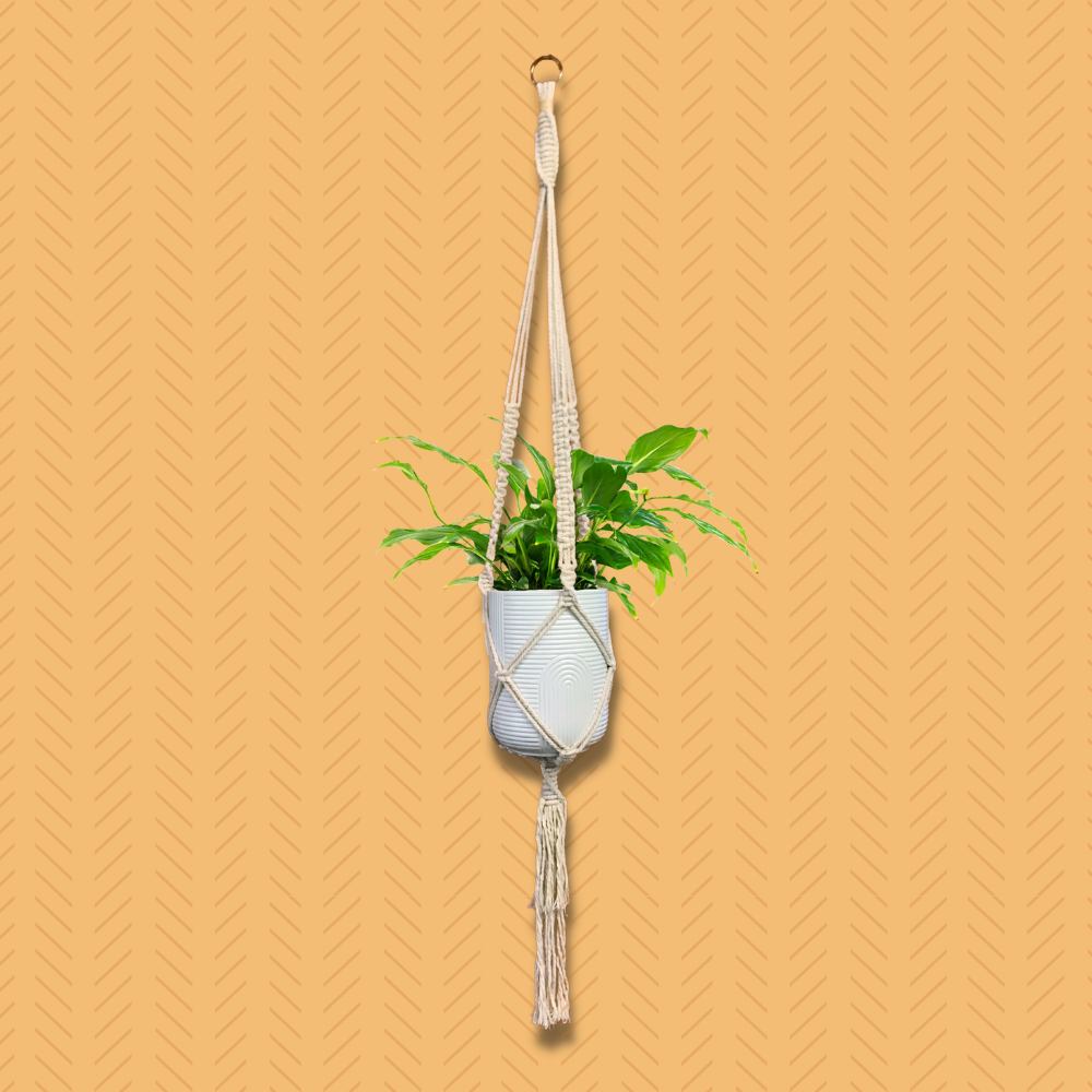 The Joy Gypsy Macrame Plant Holder (MED02)