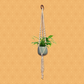 The Joy Gypsy_Macrame plant holder small_green