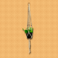 Macrame Plant Holder (SM02)
