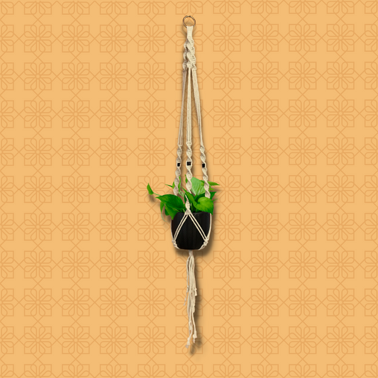 Macrame Plant Holder (SM02)