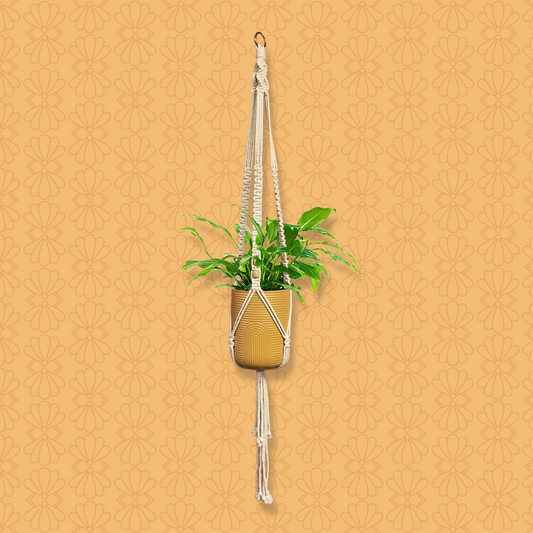 The Joy Gypsy Macrame Plant Holder (MED03)